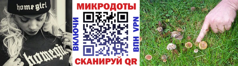 Галлюциногенные грибы мухоморы  Купить где  Крым 
